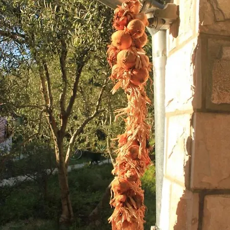 And With Parking Space Brsecine, Dubrovnik - 8541 Pensión 3*