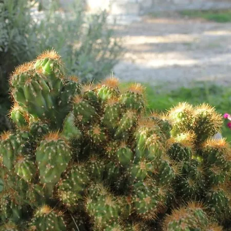 And With Parking Space Brsecine, Dubrovnik - 8541