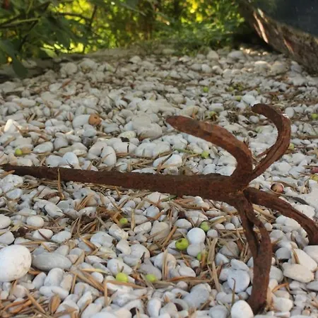 And With Parking Space Brsecine, Dubrovnik - 8541 3*